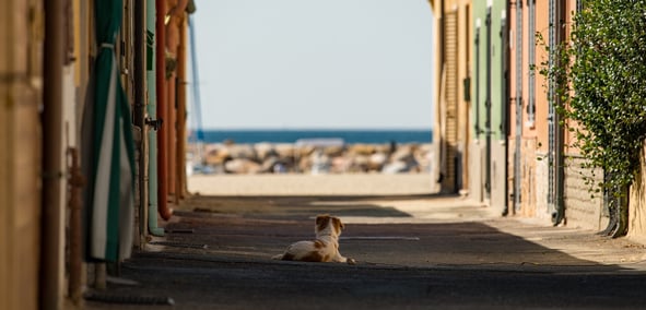 Pourquoi investir dans l'immobilier à Argelès-sur-Mer ?